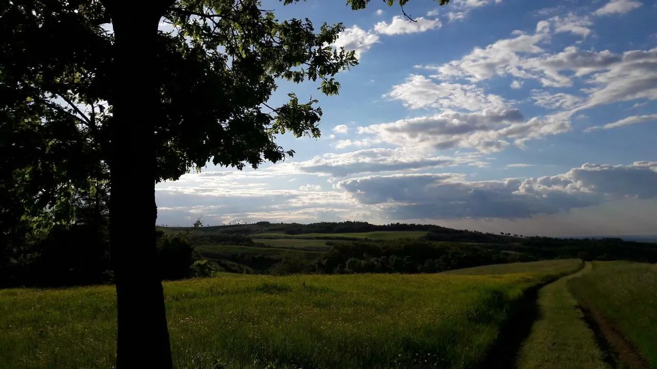La Casa Del Cammino E Della Parola Villa Viano